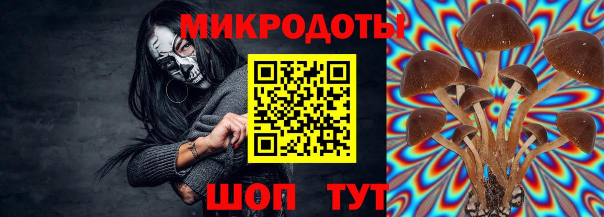 Галлюциногенные грибы Psilocybine cubensis Жигулёвск